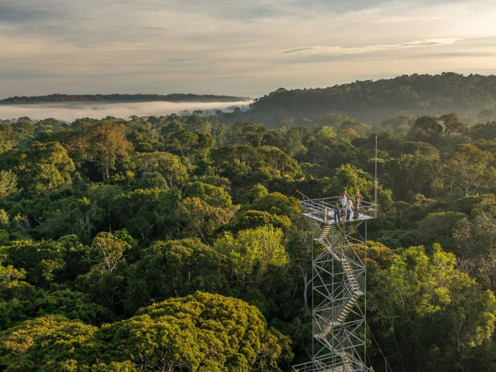 Alta torre di osservazione in metallo che si eleva sopra la volta della foresta amazzonica, al Cristalino Jungle Lodge, in Mato Grosso. Alta torre di osservazione in metallo che si eleva sopra la volta della foresta amazzonica, al Cristalino Jungle Lodge, in Mato Grosso.