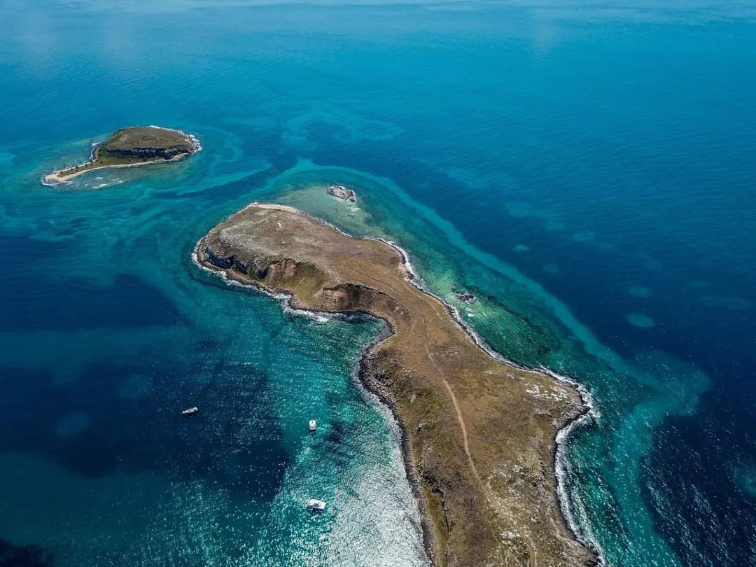 Curiosità su Abrolhos Curiosità su Abrolhos