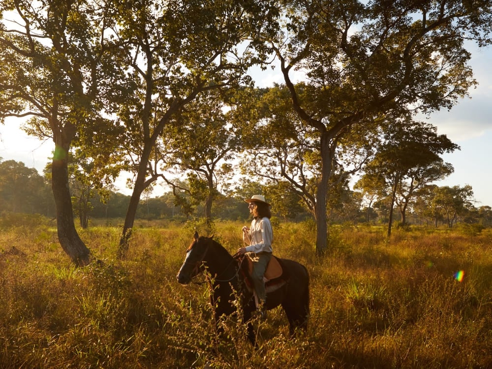 Un viaggiatore a cavallo attraversa campi dorati. Questa zona del Pantanal sud offre un'autentica esperienza di fazenda durante il viaggio nel Pantanal. Un viaggiatore a cavallo attraversa campi dorati. Questa zona del Pantanal sud offre un'autentica esperienza di fazenda durante il viaggio nel Pantanal.