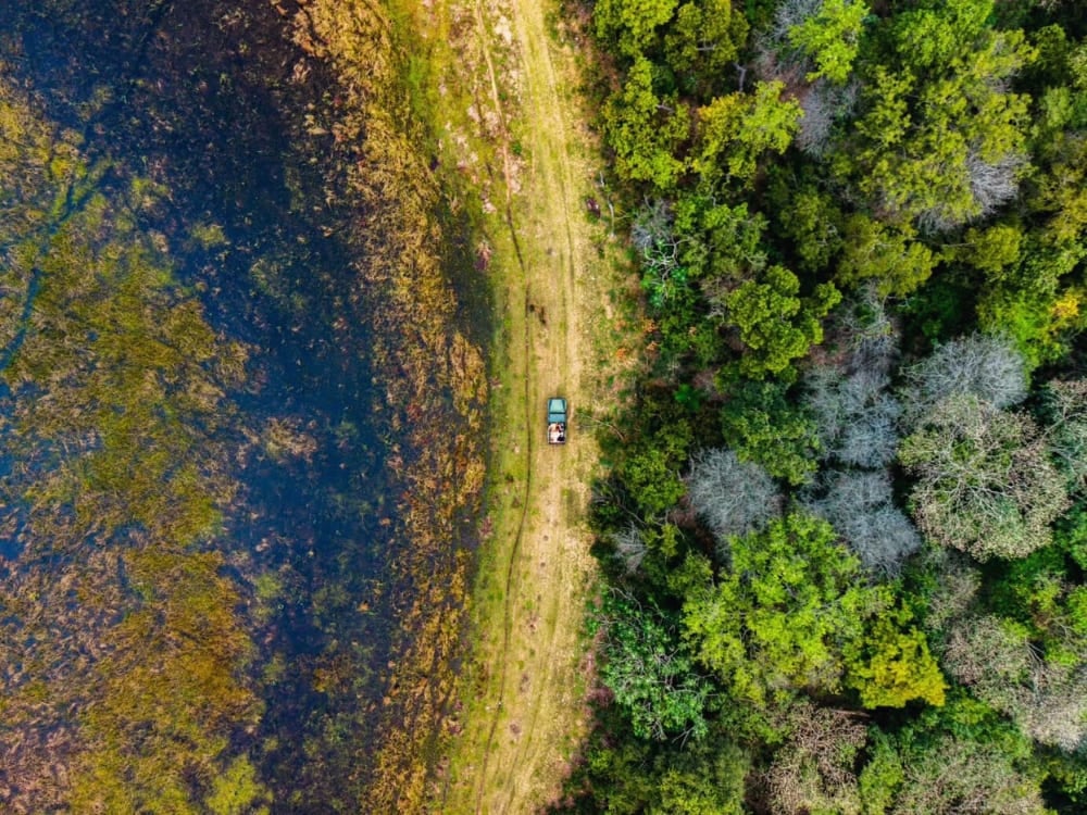Veduta aerea di un veicolo da safari su una pista sterrata tra una zona umida e la foresta verde e fitta del Pantanal nord. Veduta aerea di un veicolo da safari su una pista sterrata tra una zona umida e la foresta verde e fitta del Pantanal nord.