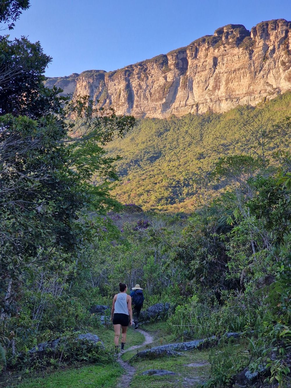 Due escursionisti percorrono uno stretto sentiero sterrato fra la vegetazione verde, verso un'enorme parete rocciosa nella Vale do Pati. Due escursionisti percorrono uno stretto sentiero sterrato fra la vegetazione verde, verso un'enorme parete rocciosa nella Vale do Pati.
