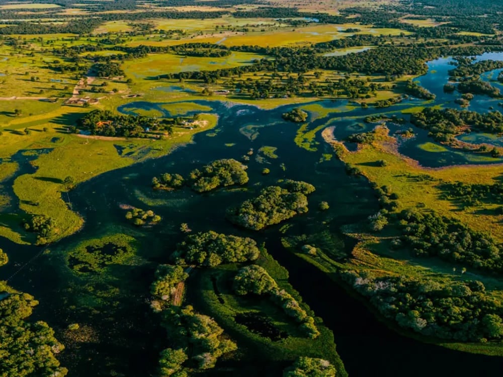Winding rivers and open green savannas dominate the remote landscape of the Southern Pantanal near Baía das Pedras. Winding rivers and open green savannas dominate the remote landscape of the Southern Pantanal near Baía das Pedras.