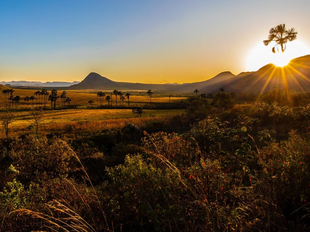 O Jardim de Maytrea com suas paineiras e o cerrado da Chapada dos Veadeiros, em Goiás O Jardim de Maytrea com suas paineiras e o cerrado da Chapada dos Veadeiros, em Goiás