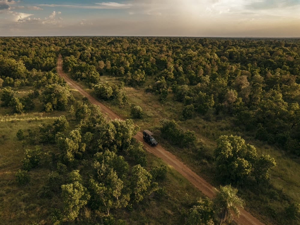 Veduta aerea di un fuoristrada 4x4 che percorre una lunga strada sterrata circondata da alberi e vegetazione fitta. Veduta aerea di un fuoristrada 4x4 che percorre una lunga strada sterrata circondata da alberi e vegetazione fitta.