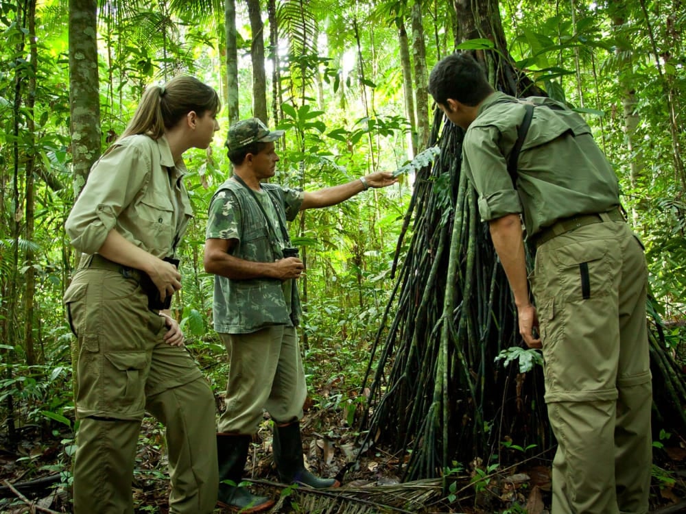 Un guide local explique la flore indigène à un groupe de randonneurs faisant un trek dans la jungle dense de l'Amazonie. Un guide local explique la flore indigène à un groupe de randonneurs faisant un trek dans la jungle dense de l'Amazonie.