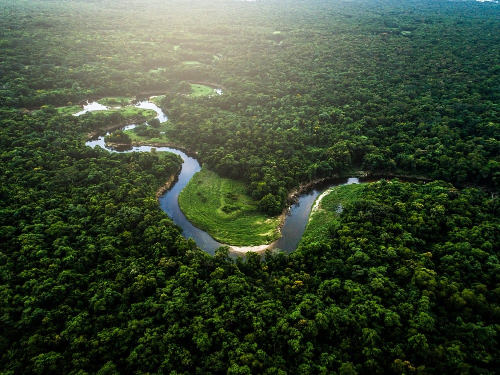 Aerial view of a winding river surrounded by the dense green vegetation of the Amazon Rainforest in Brazil. Aerial view of a winding river surrounded by the dense green vegetation of the Amazon Rainforest in Brazil.