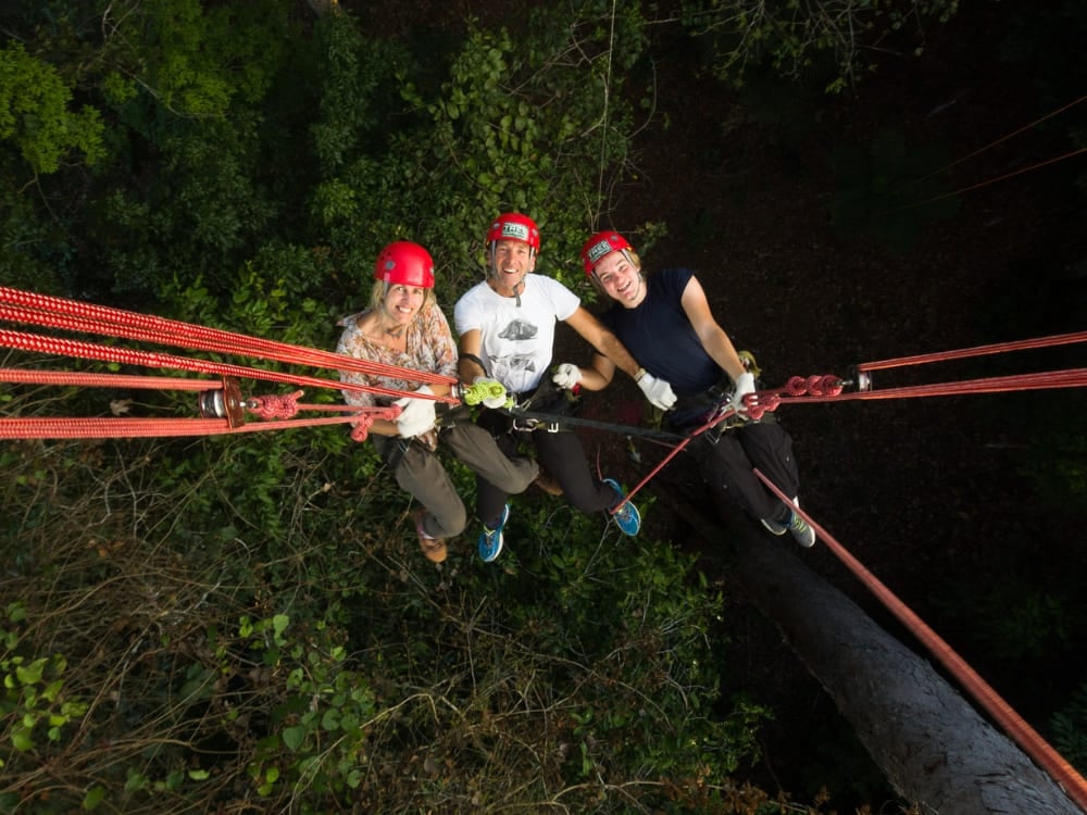 Adventurous tourists equipped with helmets participating in tree climbing and rappelling activities high up in the Amazon canopy. Adventurous tourists equipped with helmets participating in tree climbing and rappelling activities high up in the Amazon canopy.