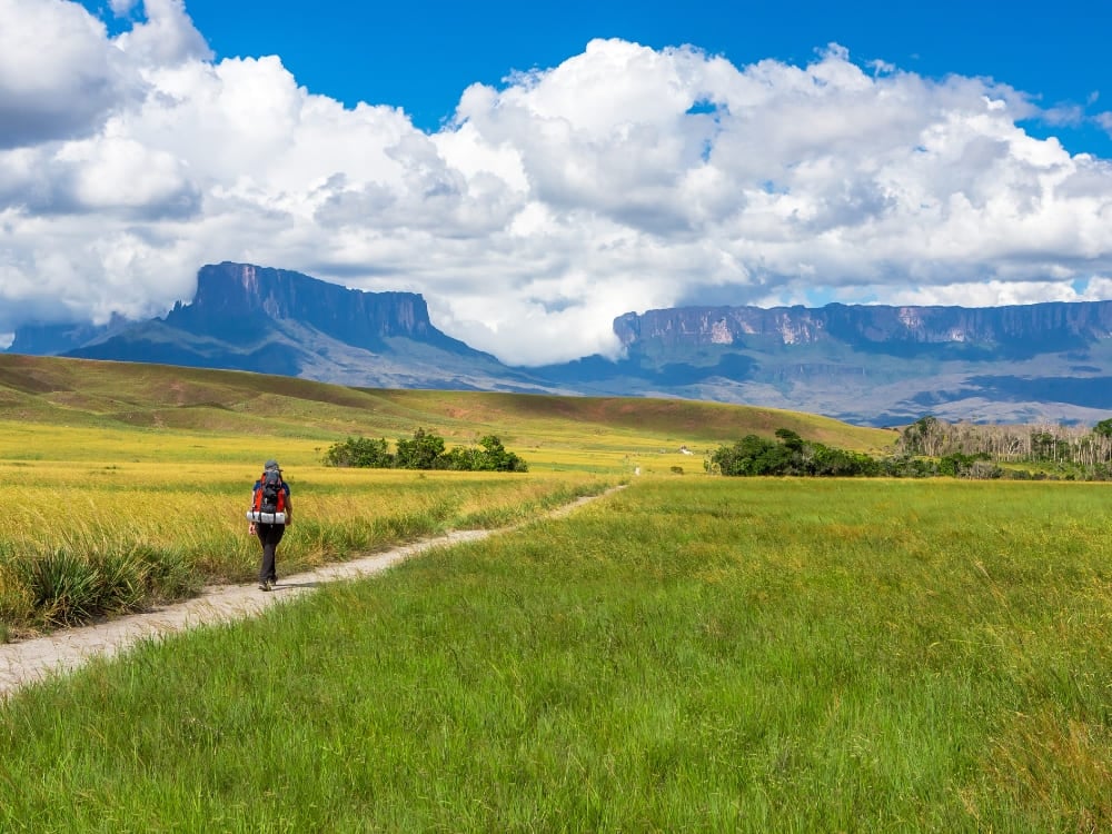 Un randonneur marche sur un sentier à travers une savane herbeuse vers le majestueux sommet plat du Mont Roraima. Un randonneur marche sur un sentier à travers une savane herbeuse vers le majestueux sommet plat du Mont Roraima.