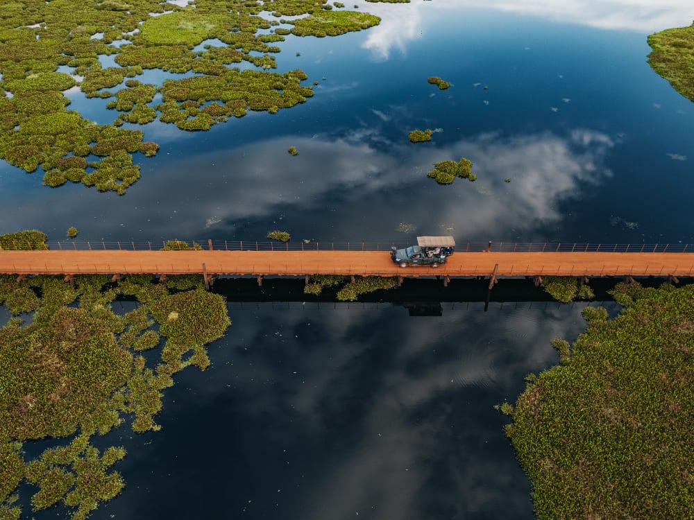 An aerial view of a safari vehicle crossing a long wooden bridge over the flooded wetlands during a Pantanal safari in Brazil. An aerial view of a safari vehicle crossing a long wooden bridge over the flooded wetlands during a Pantanal safari in Brazil.