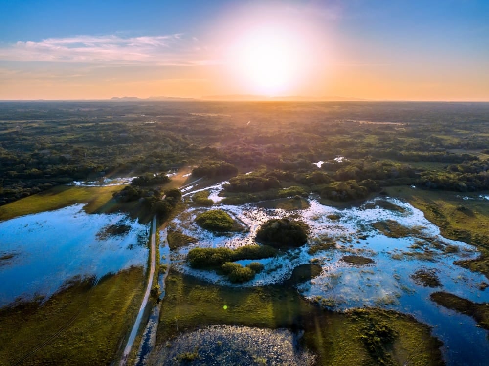 Vue panoramique aérienne des zones humides du Pantanal avec des plaines inondées reflétant la chaude lumière du soleil. Vue panoramique aérienne des zones humides du Pantanal avec des plaines inondées reflétant la chaude lumière du soleil.