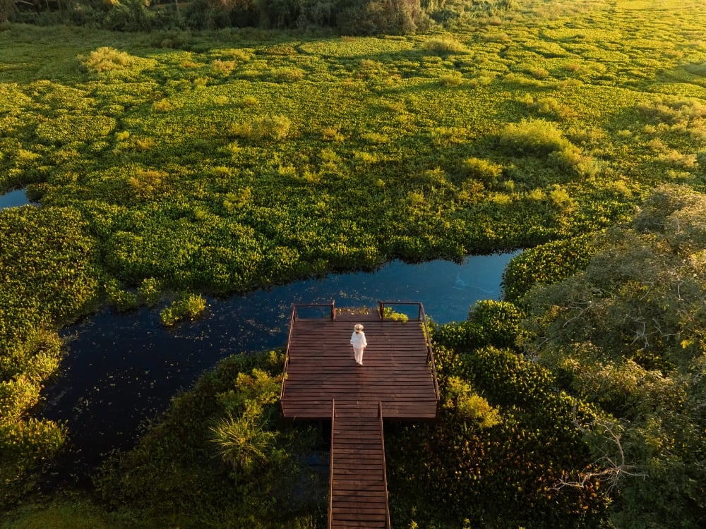 Veduta aerea di una persona in piedi sul bordo di un deck di legno sull'acqua, circondata dalle aree verdi allagate del bioma. Veduta aerea di una persona in piedi sul bordo di un deck di legno sull'acqua, circondata dalle aree verdi allagate del bioma.