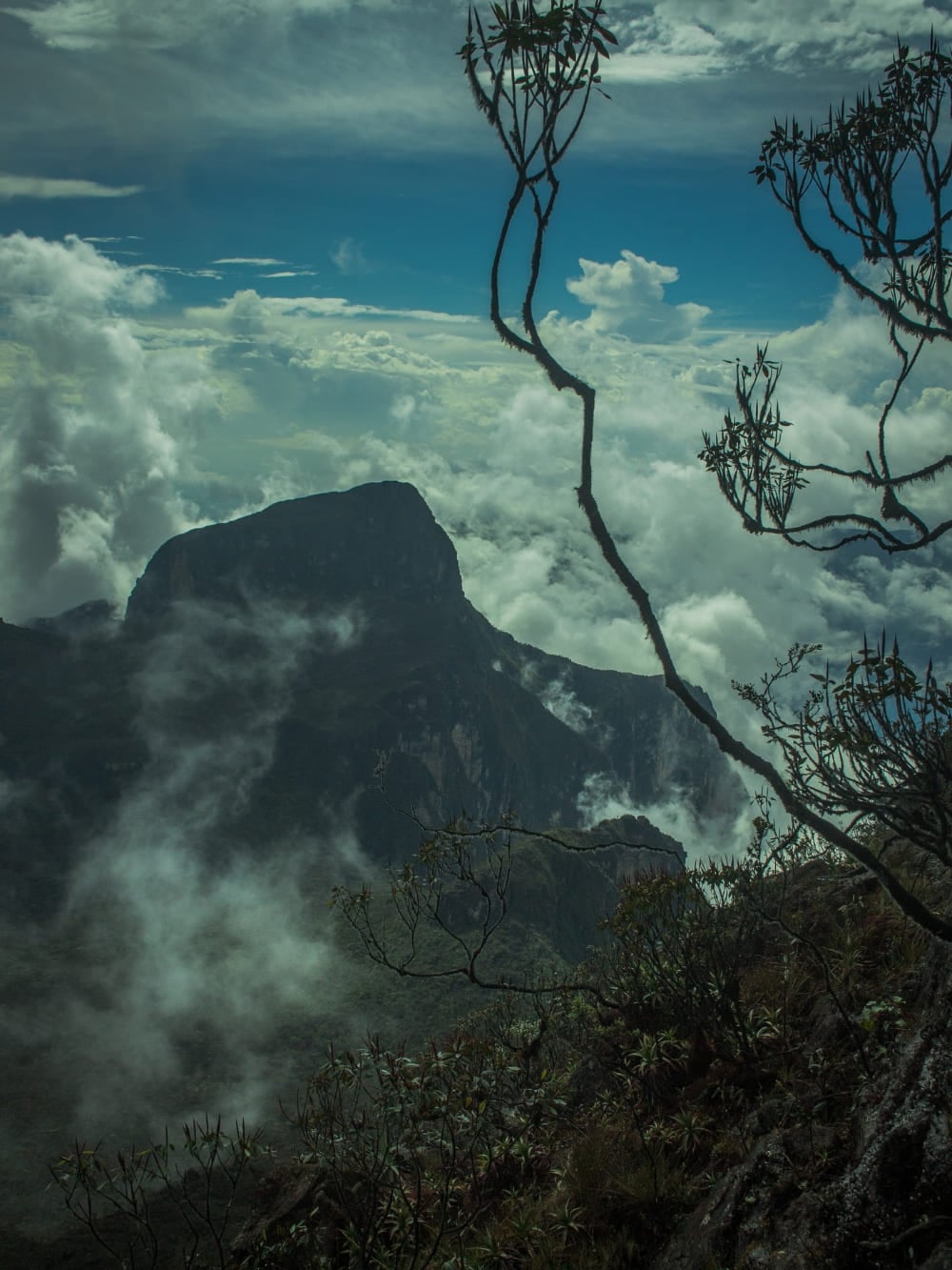 La cima scura e rocciosa del Pico da Neblina che si alza sopra uno spesso strato di nuvole bianche nella foresta amazzonica. La cima scura e rocciosa del Pico da Neblina che si alza sopra uno spesso strato di nuvole bianche nella foresta amazzonica.