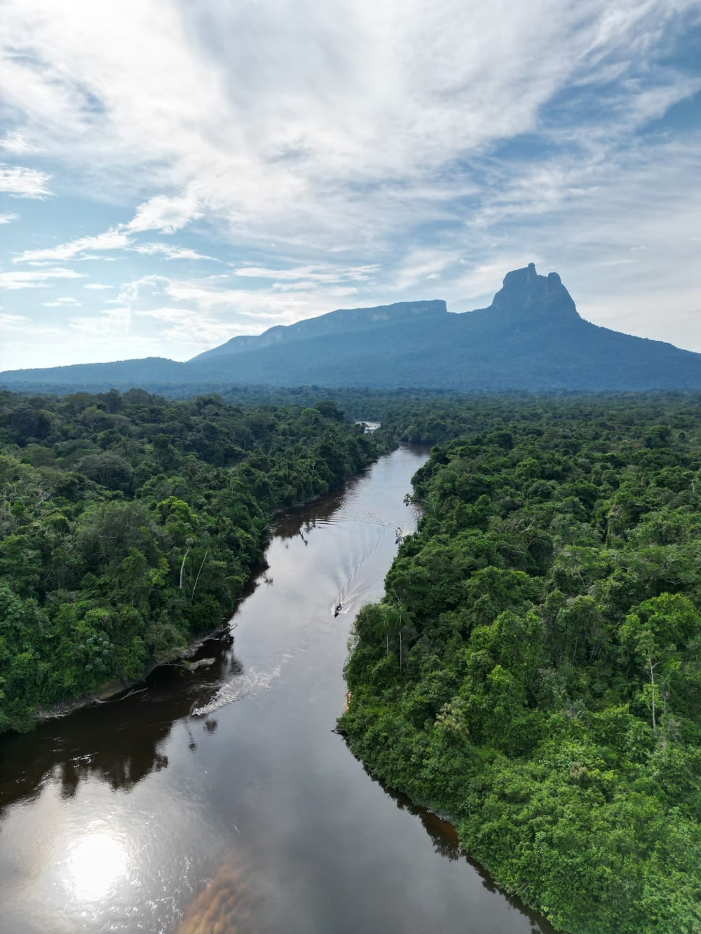 Veduta aerea di un fiume scuro che serpeggia nell'immensa foresta amazzonica, con il Pico da Neblina sullo sfondo Veduta aerea di un fiume scuro che serpeggia nell'immensa foresta amazzonica, con il Pico da Neblina sullo sfondo