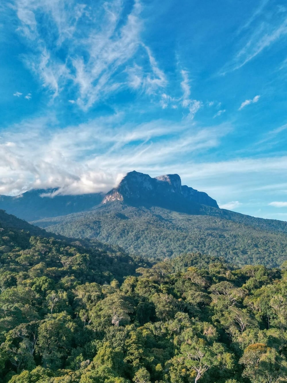 L'enorme cima del Pico da Neblina che si alza sopra una distesa verde senza fine di alberi amazzonici sotto un cielo azzurro. L'enorme cima del Pico da Neblina che si alza sopra una distesa verde senza fine di alberi amazzonici sotto un cielo azzurro.