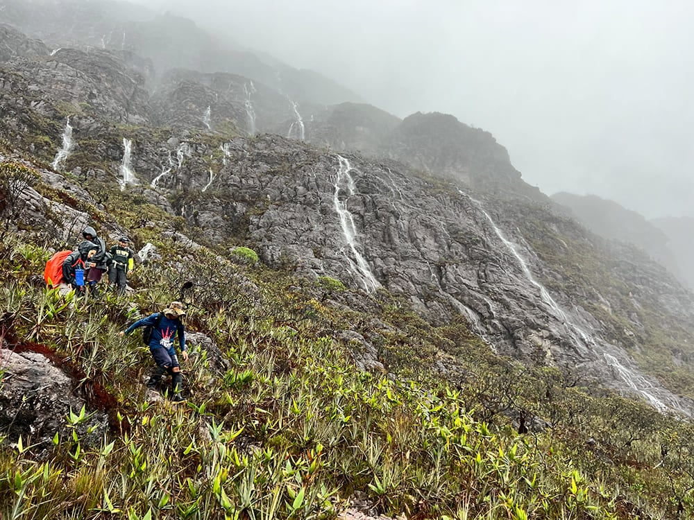 Un gruppo di trekker affronta un pendio ripido, roccioso e bagnato, con piccole cascate, durante la spedizione. Un gruppo di trekker affronta un pendio ripido, roccioso e bagnato, con piccole cascate, durante la spedizione.