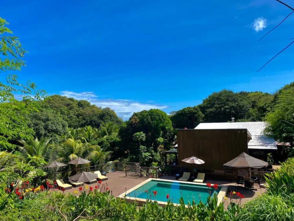 Piscina circondata da fitta foresta tropicale e sedie a sdraio in una pousada sostenibile di Fernando de Noronha. Piscina circondata da fitta foresta tropicale e sedie a sdraio in una pousada sostenibile di Fernando de Noronha.
