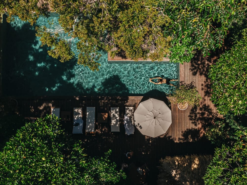 Vista aérea de un jungle lodge del Amazonas con piscina y terraza de madera rodeado de árboles densos. Vista aérea de un jungle lodge del Amazonas con piscina y terraza de madera rodeado de árboles densos.