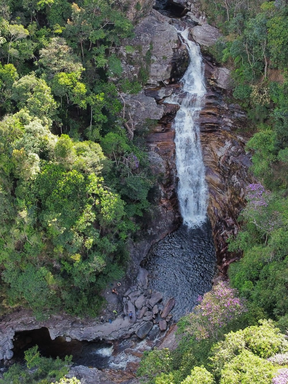 Vista aerea di una cascata potente che scende su rocce a gradini in una pozza scura color tè, circondata da foresta verde e fitta. Vista aerea di una cascata potente che scende su rocce a gradini in una pozza scura color tè, circondata da foresta verde e fitta.