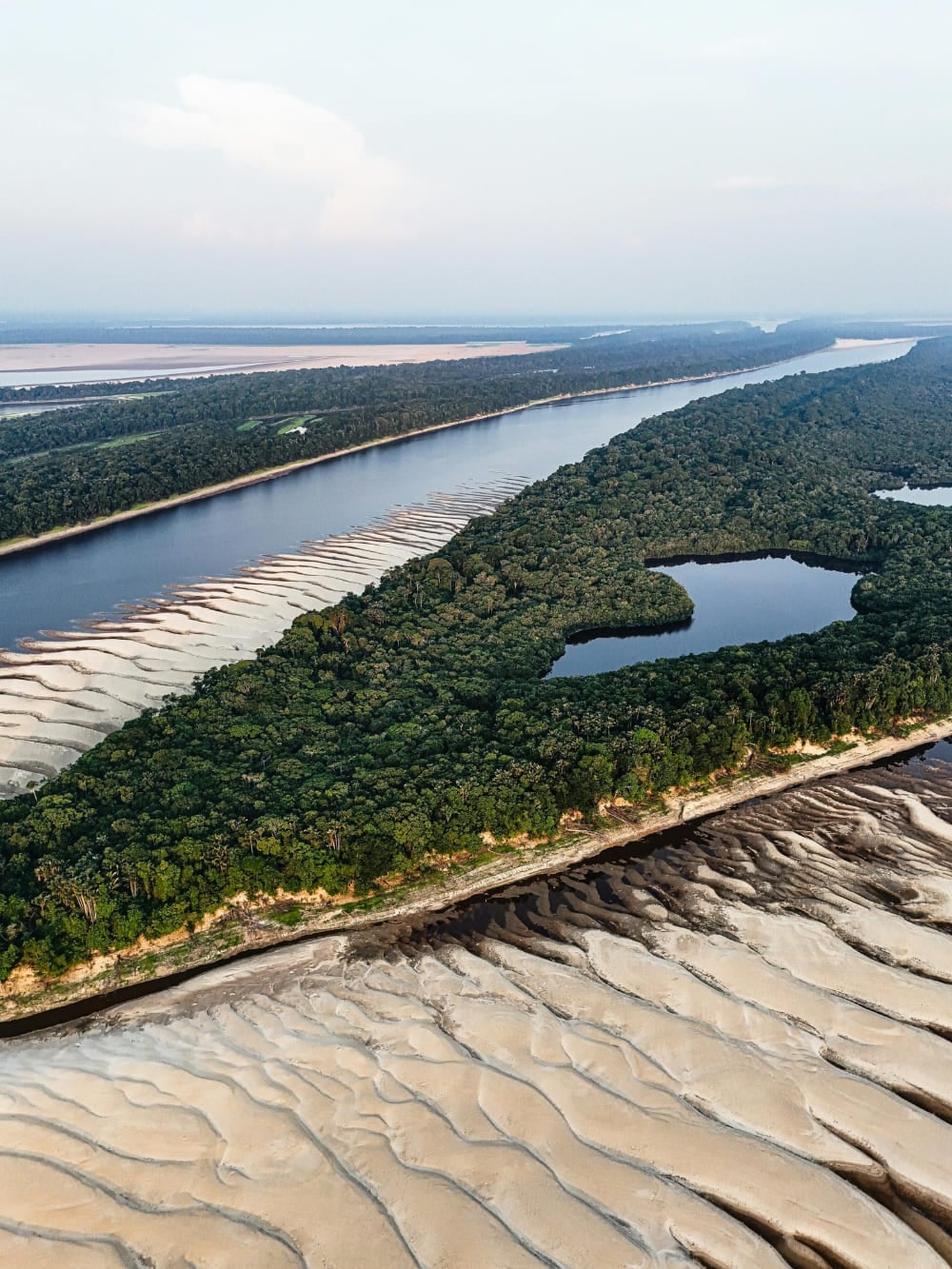 Vista aérea del río Amazonas durante la estación seca, con bancos de arena al descubierto junto al borde de la selva. Vista aérea del río Amazonas durante la estación seca, con bancos de arena al descubierto junto al borde de la selva.