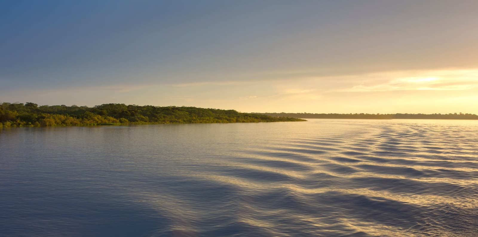 Auf dem Amazonas gibt die Strömung das Tempo vor, nicht der Reiseplan. Weiter Blick auf einen breiten Schwarzwasserfluss im Abendlicht bei einer Amazonas-Kreuzfahrt in Brasilien, mit dichtem Regenwalddach am gegenüberliegenden Ufer und goldenem Licht auf dem leicht gekräuselten Wasser