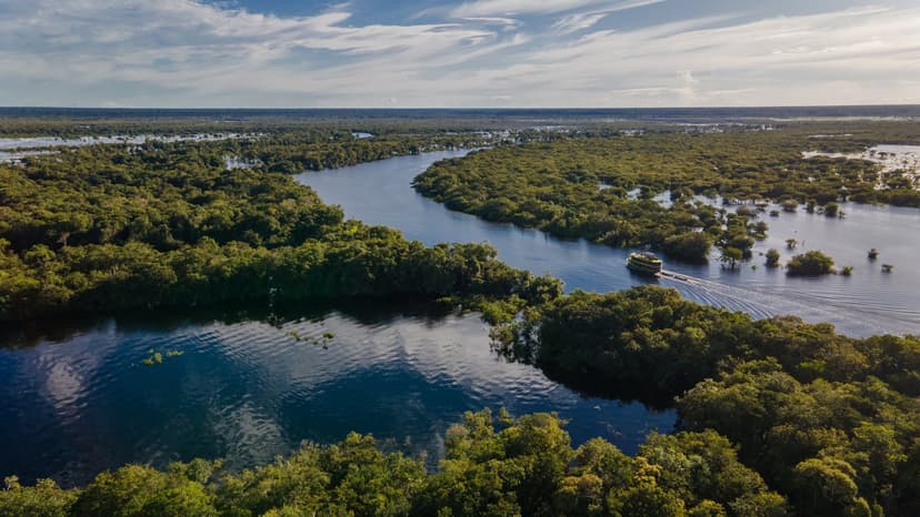 Delfini rosa dell’Amazzonia: crociera di 5 giorni in Brasile Delfini rosa dell’Amazzonia: crociera di 5 giorni in Brasile
