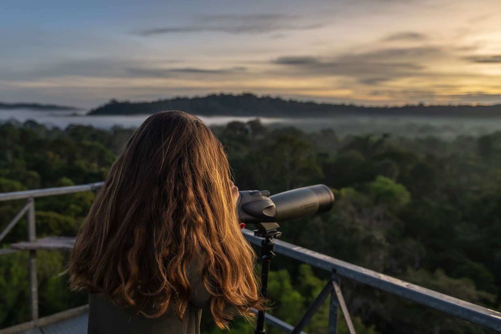 Première lumière, café encore chaud, et quelque chose vient de bouger dans la canopée. Photo: Andre Dib Une femme observe à travers une longue-vue sur une tour d'observation en canopée à l'aube, avec la brume flottant au-dessus de la forêt amazonienne et un ciel doré à l'horizon.