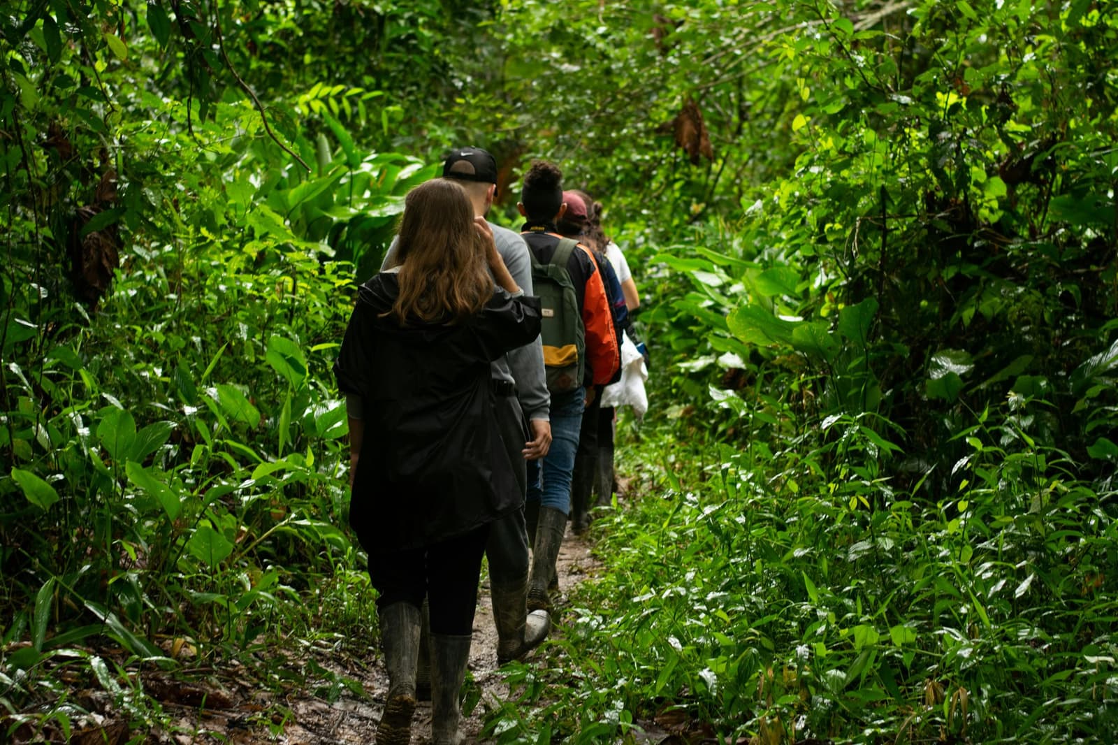 Schlamm an den Stiefeln, das Zeichen einer echten Expedition. Eine kleine Reisegruppe in Gummistiefeln wandert in einer Reihe auf einem schlammigen Pfad durch dichten grünen Regenwald im brasilianischen Amazonas