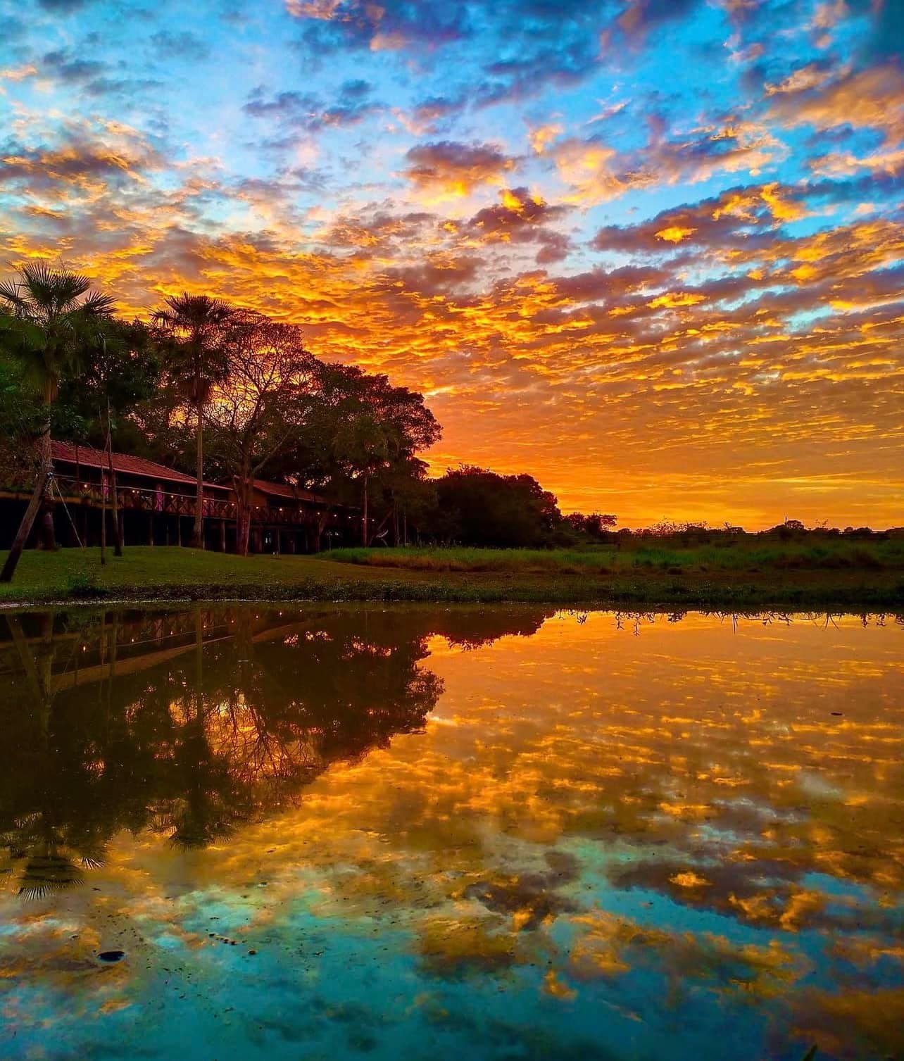 The sky puts on a show, and the water takes notes. A fiery orange and blue sunset sky reflected perfectly in the still waters of the Miranda River, with a rustic budget Pantanal tour lodge silhouetted among palm trees on the left bank