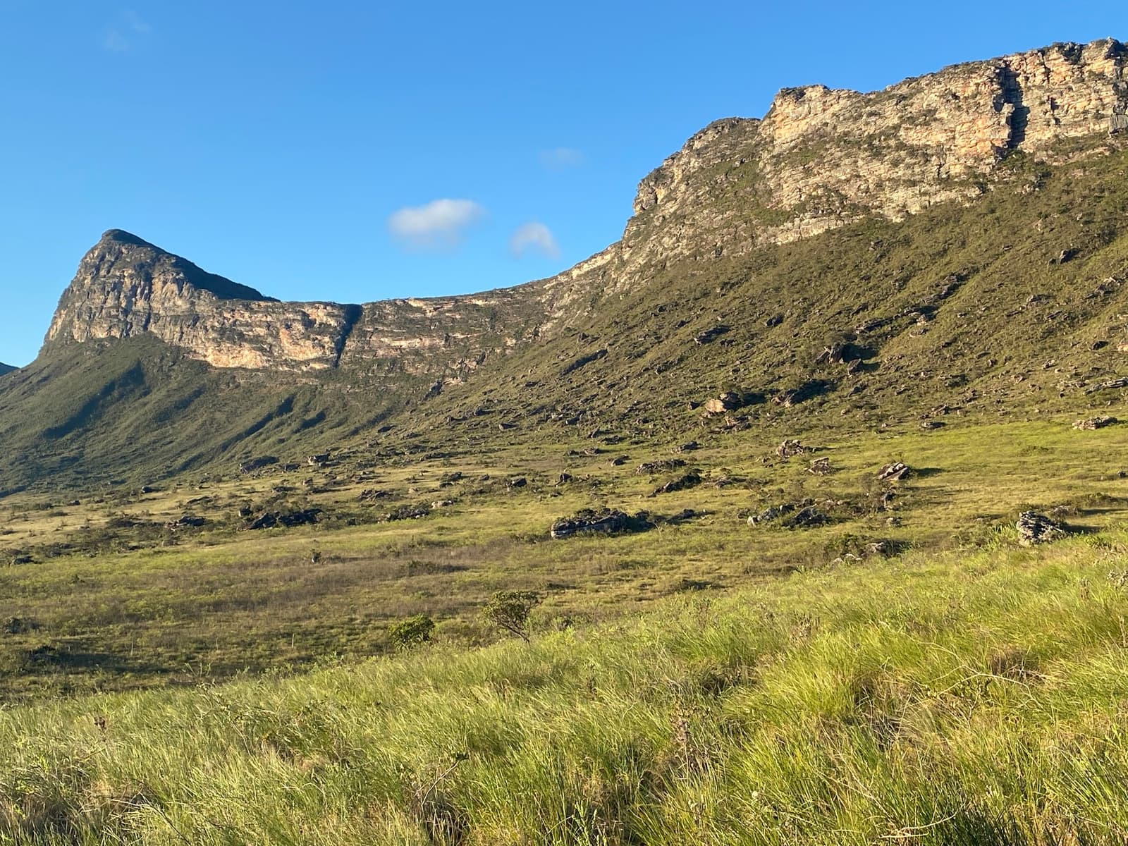 Weiter Himmel, noch weitere Felsen, und der Weg macht einfach weiter. Offene Grasebene auf dem Chapada Diamantina Trek mit verstreuten Felsen im Vordergrund und aufragenden Sandsteinklippen unter blauem Himmel