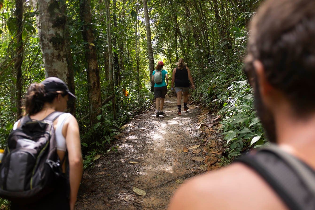 Fahrräder pausieren, die Beine nicht, der Wald gibt hier das Tempo vor. Eine kleine Wandergruppe mit Rucksäcken auf einem schmalen Erdpfad durch dichten Atlantischen Regenwald nahe Itacaré, Bahia