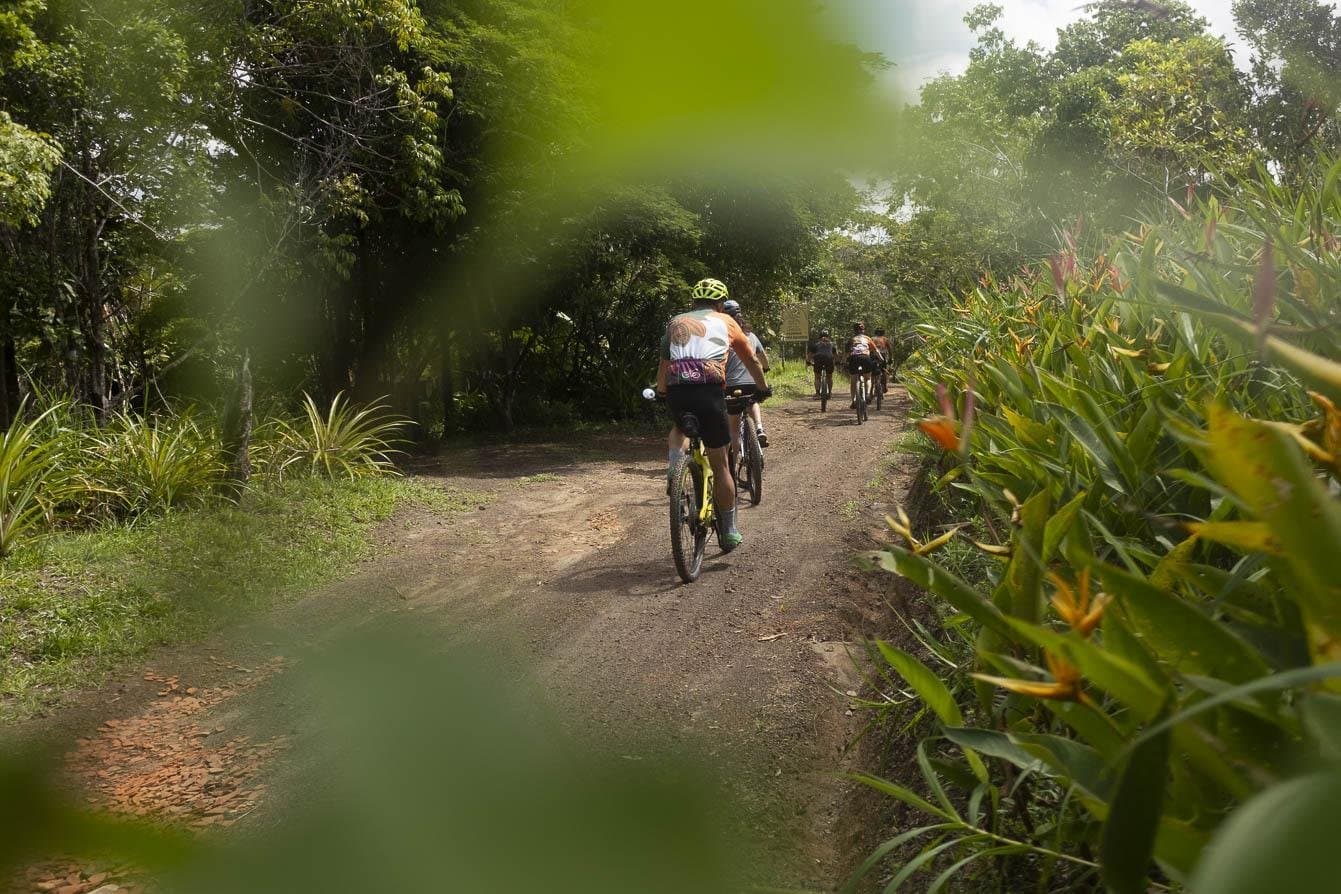 Auf Landstraßen zieht die ganze Gruppe wie von selbst vorwärts. Eine Gruppe von Radfahrern auf einem schmalen Schotterweg, gesäumt von tropischer Vegetation, beim Bahia-Fahrradausflug durch die Kakaoregion