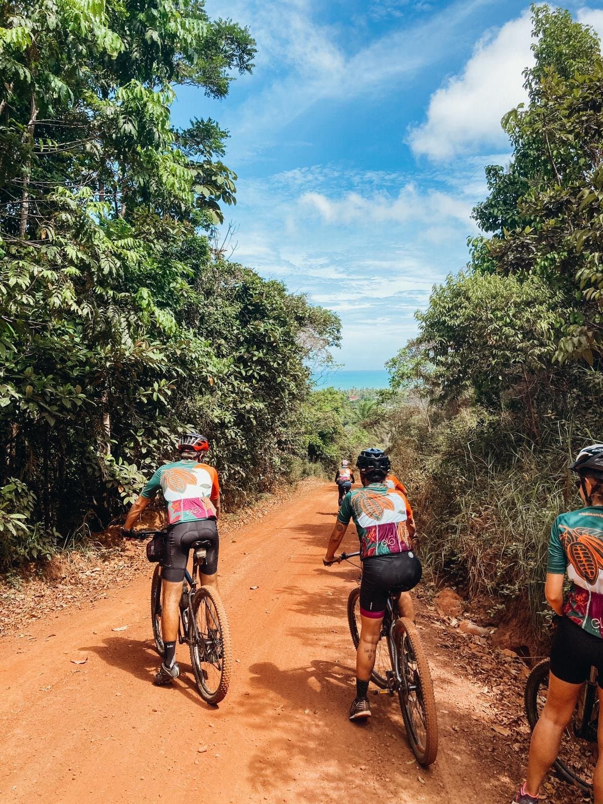 Roter Lehm, grünes Blätterdach, blauer Ozean am Ende der Strecke. Gruppe von Radfahrern in einheitlichen Trikots auf Mountainbikes auf einem roten Feldweg, gesäumt von Atlantischem Regenwald, mit Meeresblick auf der Bahia Fahrradroute