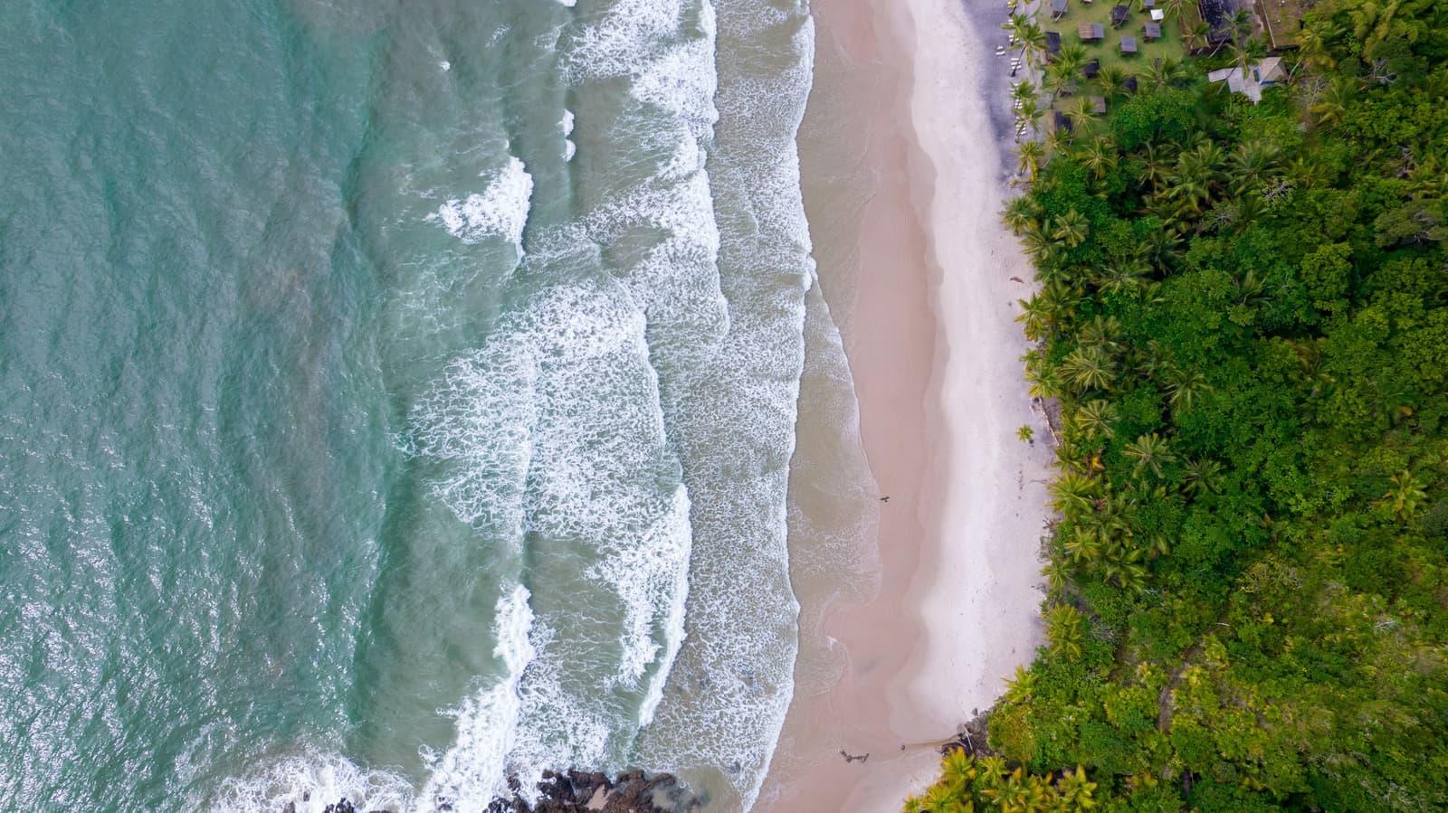 Vierzig Kilometer in den Beinen, und dann liegt das hier vor einem. Photo: Pedro Truffi Luftaufnahme eines weißen Sandstrands auf der Cycling-Bahia-Route, mit türkisfarbenem Wellengang links und dichtem Atlantischen Regenwald aus Palmen rechts, eine kleine Unterkunft ist durch die Baumkronen zu erahnen