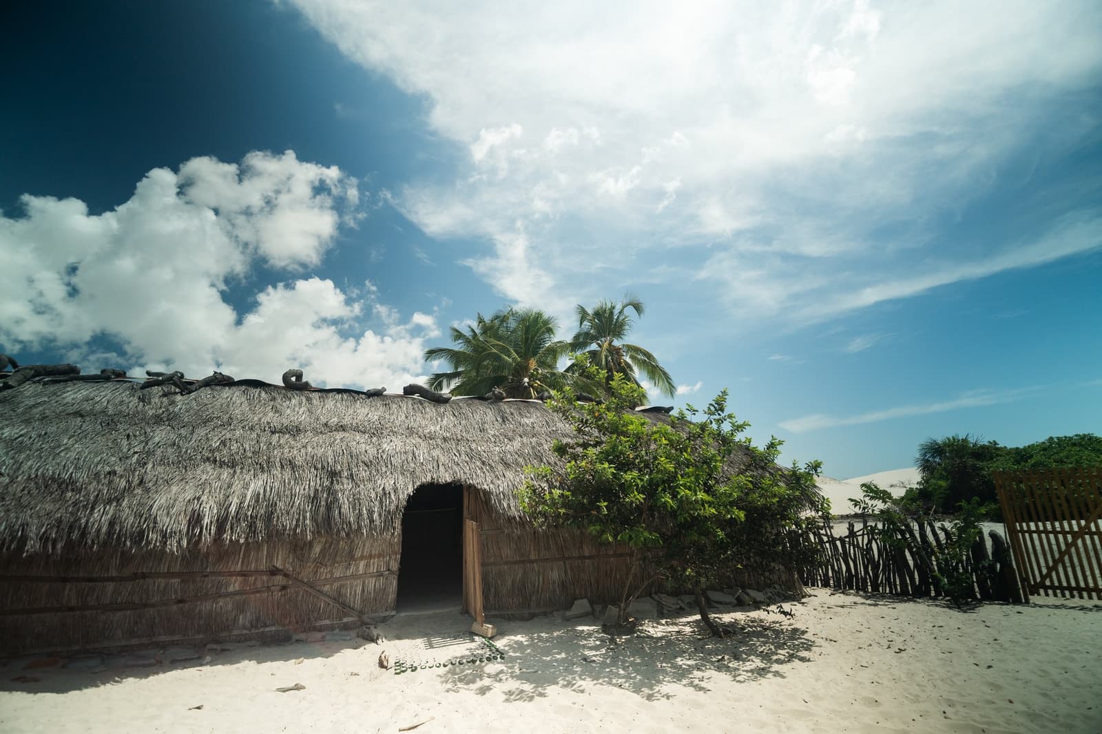 Gebaut aus dem, was das Land hergibt, nicht mehr, nicht weniger. Ein niedriges Strohdachhaus mit gerundetem Palmblattdach und gewölbtem Holzeingang steht auf weißem Sand, mit Kokospalmen und einem rustikalen Zaun daneben, auf der Route der Lençóis Maranhenses Wanderung.