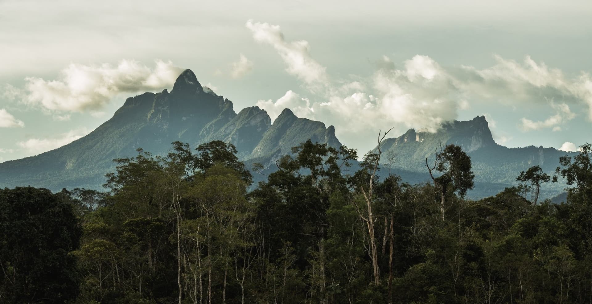Pico da Neblina: expedición de 15 días a la cima de Brasil Pico da Neblina: expedición de 15 días a la cima de Brasil