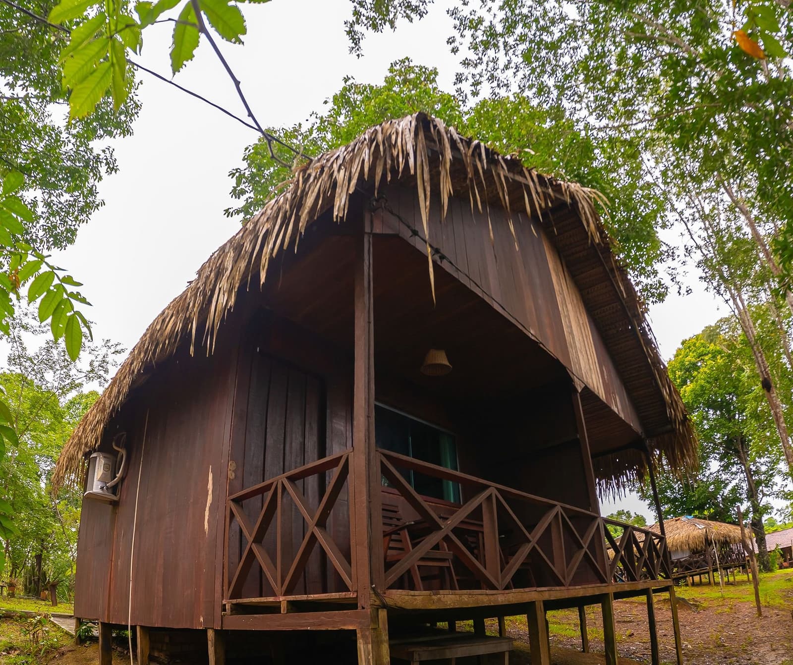 Besser schlafen als im Dschungel? Kaum vorstellbar. Ein rundes Holzbungalow mit breitem Palmstroh-Dach im Amazon Turtle Lodge, eingebettet zwischen hohen Regenwaldstauden mit überdachter Veranda und Holzgeländer