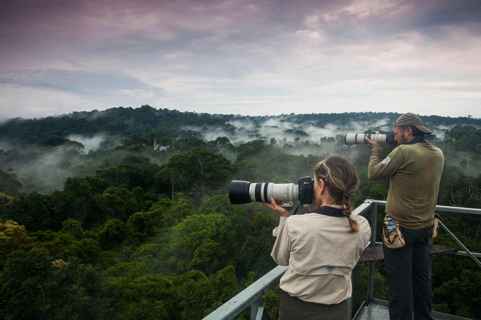 Grands zooms, forêt encore plus grande. La canopée ne ressemble jamais à la même chose d'ici. Photo: JOAO MARCOS ROSA/NITRO Deux photographes équipés de téléobjectifs sur une tour d'observation métallique surplombant la canopée brumeuse de la forêt amazonienne à l'aube, parfait pour l'observation des oiseaux en Amazonie