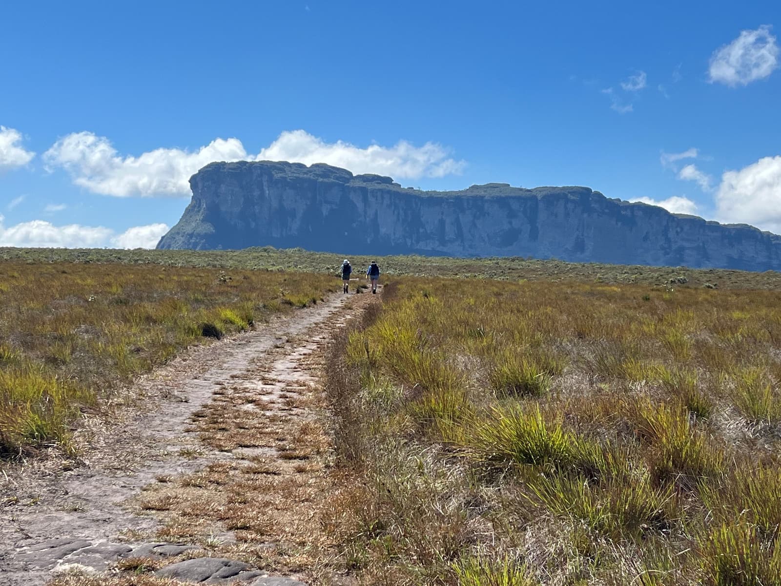 Der Tafelberg rückt langsam näher. Genau dafür ist man hier. Zwei Wanderer auf einem felsigen Pfad durch offenes Savannenland beim Chapada-Diamantina-Trek, mit einem flachen Sandsteinmassiv vor blauem Himmel im Hintergrund