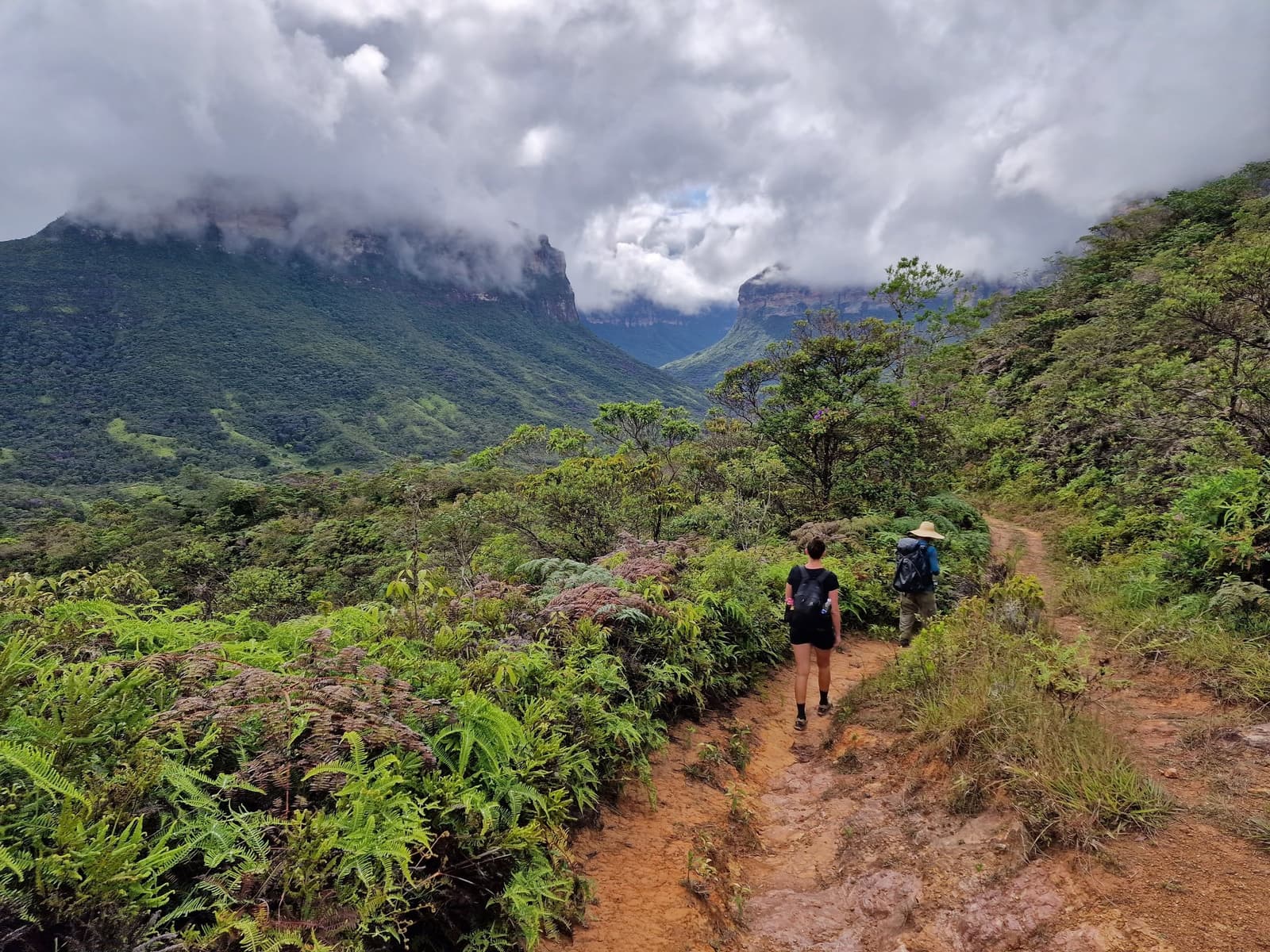Gute Beine, gute Gesellschaft, und ein Tal, das sich Schritt für Schritt öffnet. Photo: Rasmus Soeby Zwei Wanderer folgen einem schmalen roten Erdpfad auf einem Trek durch die Chapada Diamantina, gesäumt von Farnen und Sträuchern, während wolkenverhüllte Tafelberge über einem weiten grünen Tal aufragen