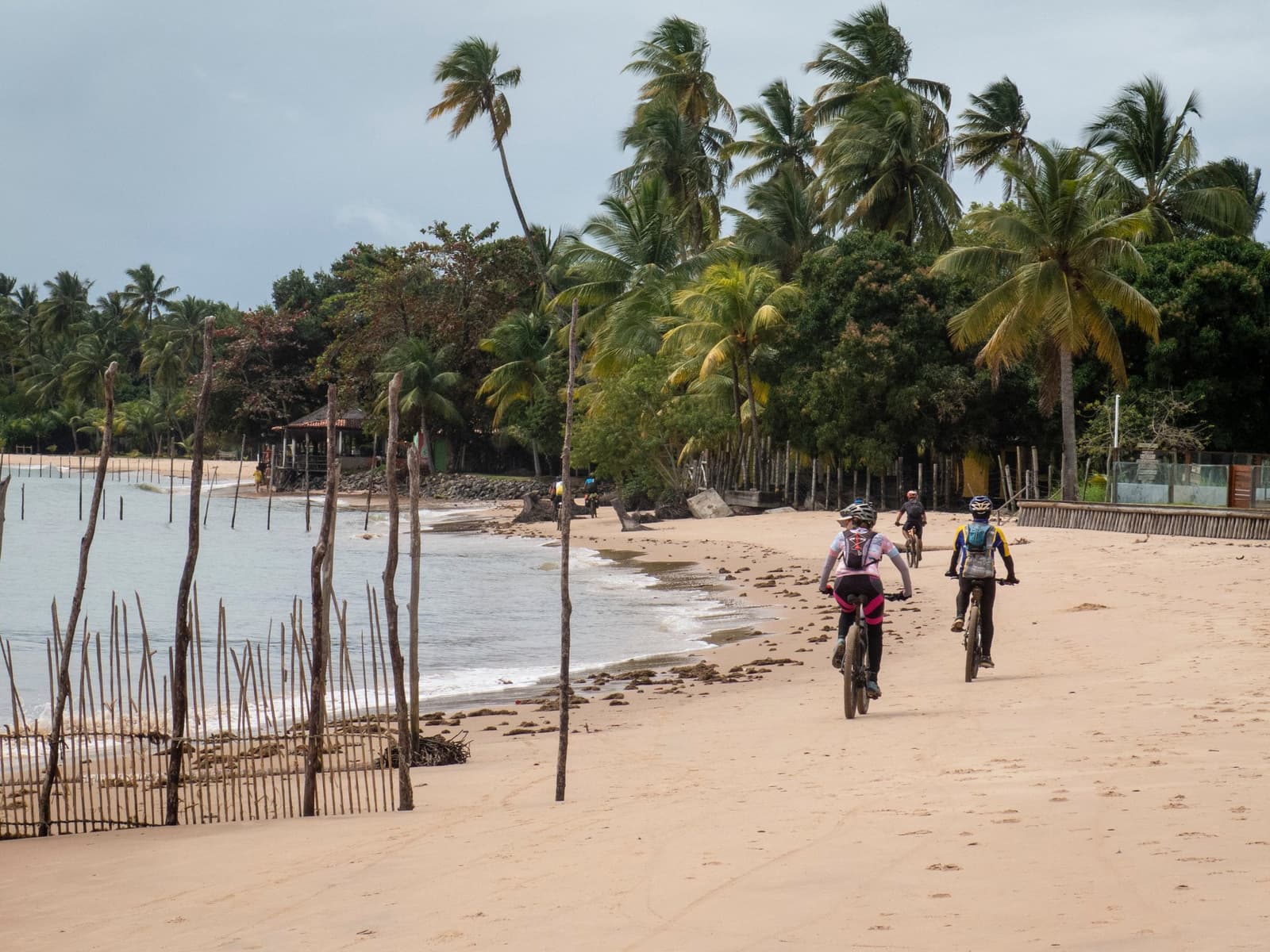 Der Sand trägt die Räder, die Palmen biegen sich im Wind, und die Route hat gerade erst begonnen. Eine Gruppe von Radfahrern fährt auf einem weiten Sandstrand entlang der Küste Bahias, gesäumt von Kokospalmen und einem rustikalen Holzzaun