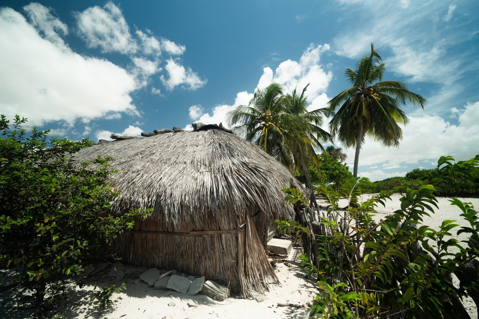 Erbaut, bevor irgendjemand diesen Strand auf eine Karte eingetragen hatte. Eine runde Hütte mit Strohdach aus Palmwedeln und Holzpfählen, umgeben von grünen Sträuchern auf weißem Sand neben hohen Kokospalmen unter blauem Himmel, typisch für die abgelegenen Gemeinschaften der Lençóis-Maranhenses-Wanderung