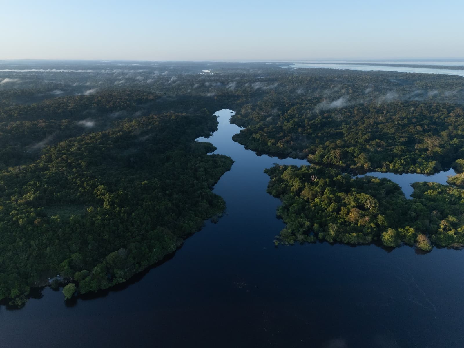 Der Amazonas hat seine eigenen Regeln, und der Morgen gehört ihm. Luftaufnahme von dunklen, spiegelglatten Flusskanälen, die sich bei Morgendämmerung durch den dichten Amazonas-Regenwald schlängeln, mit tiefhängendem Nebel über dem Blätterdach nahe Mirante do Gavião