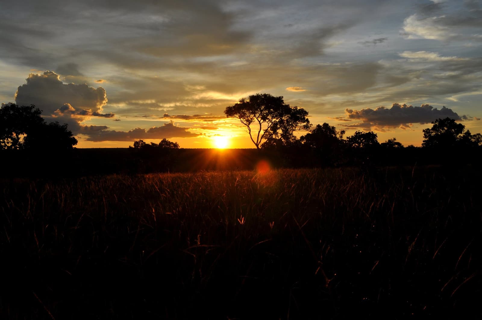 Das Cerrado gibt am Ende eines langen Wandertages alles. Photo: Picasa Weite Cerrado-Savanne bei Sonnenuntergang auf einer Jalapão-Trekkingroute, mit der tief stehenden Sonne hinter Baumsilhouetten und einem dramatischen orangefarbenen Abendhimmel