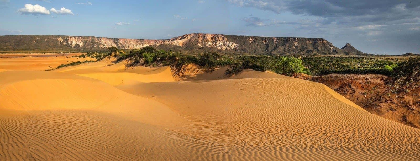 Sand, Fels und Cerrado auf einmal. Der Jalapão lässt einen nie in Ruhe. Goldene, windgekräuselte Sanddünen im Vordergrund, dahinter ein grüner Streifen Cerrado-Vegetation und ein flacher Sandsteintafelberg unter teils bewölktem Himmel im Jalapão