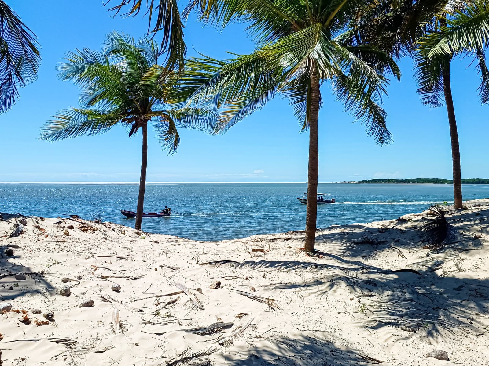 Zwei Boote, endloses Blau und Palmenschatten im Sand. Kein Filter nötig. Weißer Sandstrand mit hohen Kokospalmen an einem breiten, ruhigen Fluss, während zwei kleine Motorboote unter strahlend blauem Himmel auf der Lençóis-Maranhenses-Wanderung das Wasser überqueren