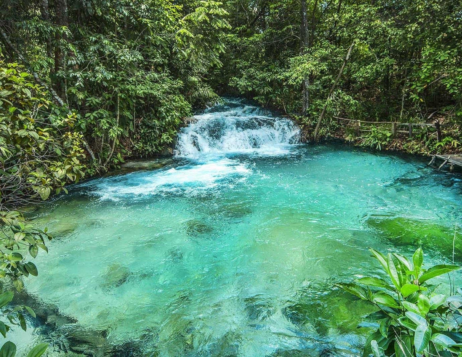 Diese Farbe ist echt. Kein Filter, kein Trick, nur die Natur des Cerrado. Ein kleiner Wasserfall auf einer Jalapão-Trekkingroute stürzt in ein weites, kristallklares türkisfarbenes Becken, umgeben von dichtem grünen Wald