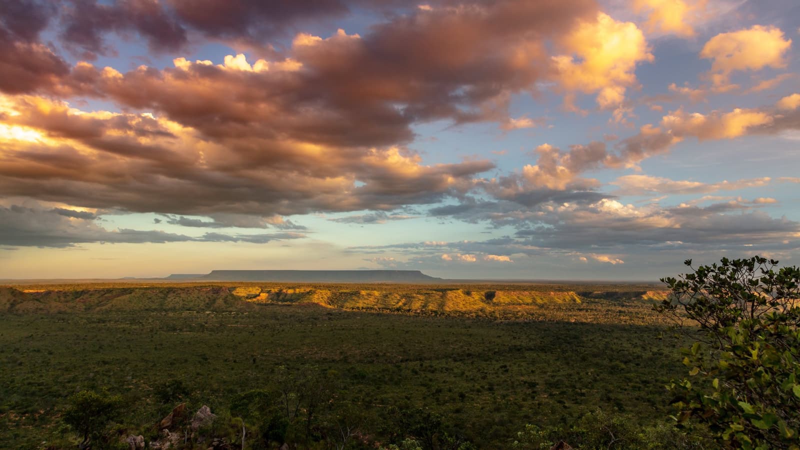 Ein Horizont, der nichts zu beweisen hat, und trotzdem gewinnt er. Photo: Alberto Andrich Panoramablick über eine weite Cerrado-Landschaft auf einer Jalapão-Reise, mit einem flachen Sandsteinmeseta am Horizont unter einem dramatischen Abendhimmel mit rosa und goldenen Wolken