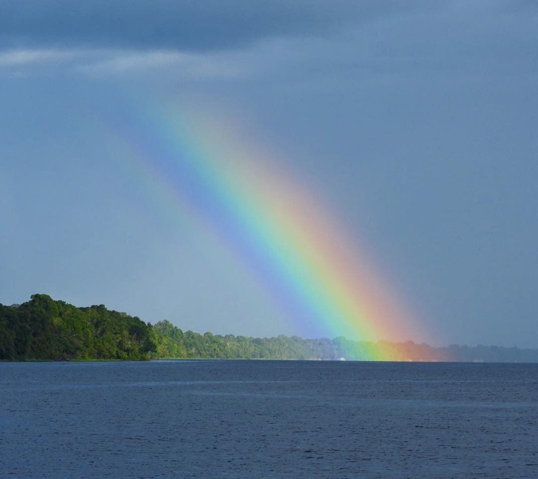 Kein Sturm im Amazonas, ohne dass er sich gebührend verabschiedet. Ein kräftiger Regenbogen reicht vom bewölkten Himmel bis zur Oberfläche des Rio Negro, im Hintergrund ein dichter Streifen Regenwald am gegenüberliegenden Ufer