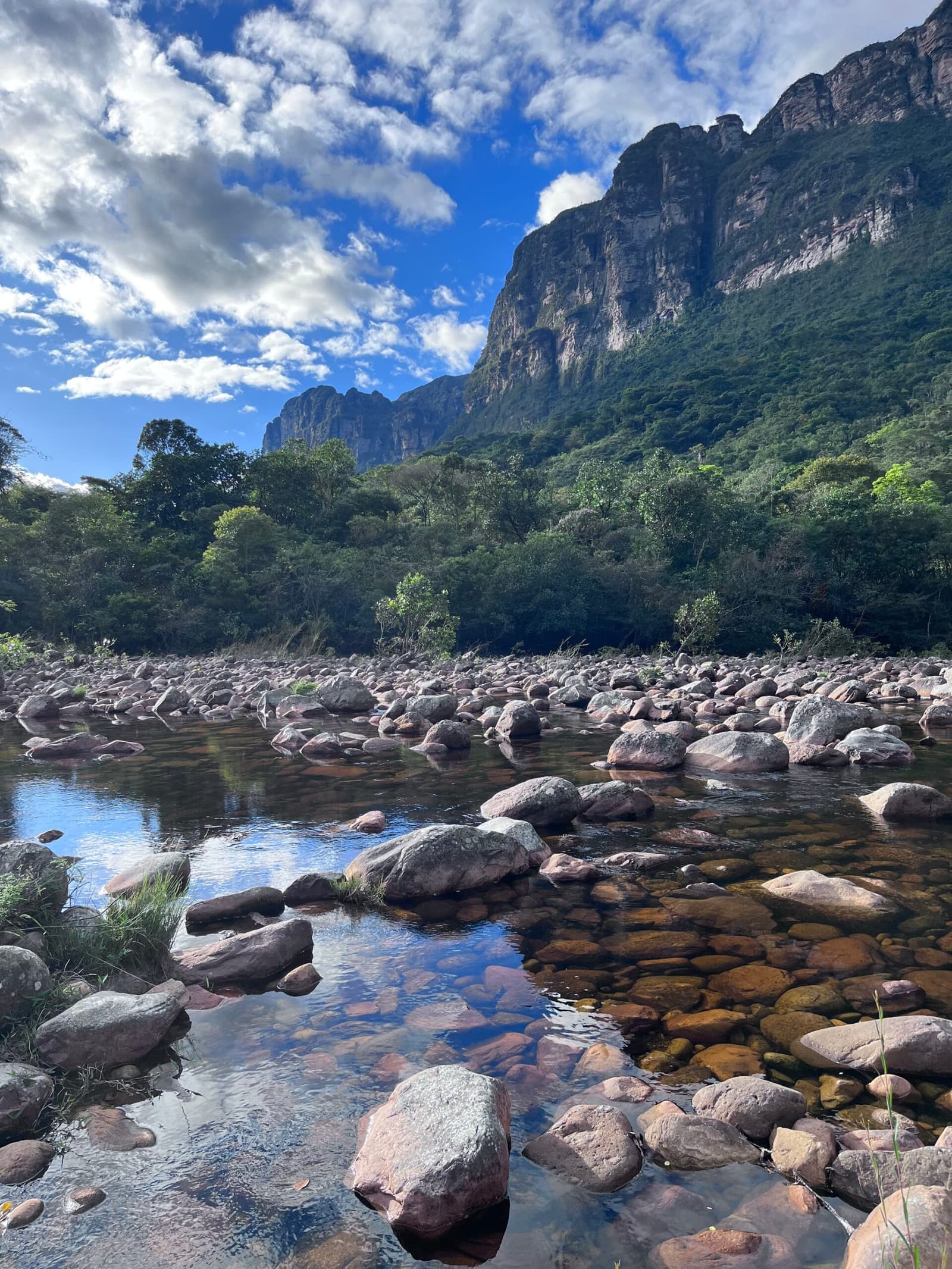 Kühles Wasser, keine Menschenseele, der Pati-Fluss ganz für sich. Klarer, flacher Bach mit abgerundeten Felsbrocken auf einem Chapada-Diamantina-Trek, dahinter dichter grüner Wald und aufragende Sandsteinklippen unter blauem Himmel
