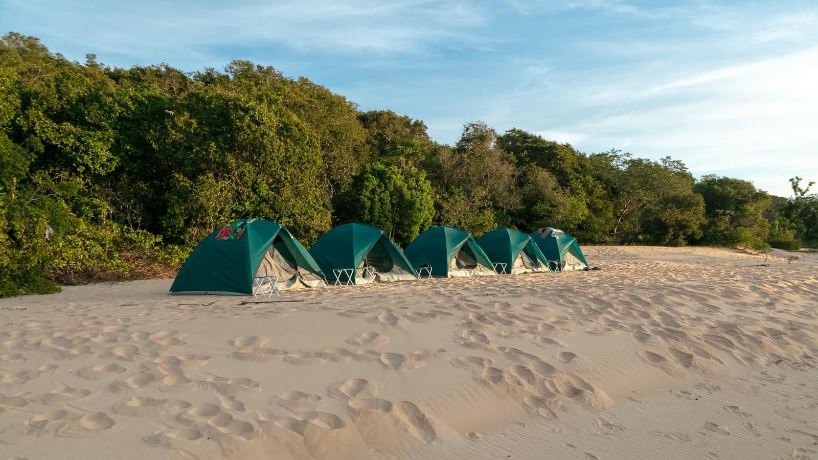 Heute Nacht sind die Dünen dein Boden und der Cerrado dein Vorhang. Photo: Alberto Andrich Fünf grüne Zelte in einer Reihe auf weißem Sand am Rand eines dichten Cerrado-Waldes bei einer Jalapão-Trekkingtour, mit kleinen Klappstühlen vor jedem Zelt unter blauem Himmel